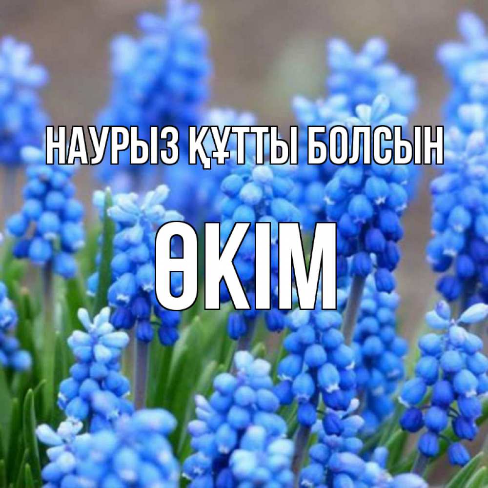 Күн сайын ашық хат с именем, ӨКІМ Наурыз құтты болсын Поздравительная открытка для женщин с цветами на праздничную дату Онлайн тегін жүктеп алу тілектері бар керемет карта 