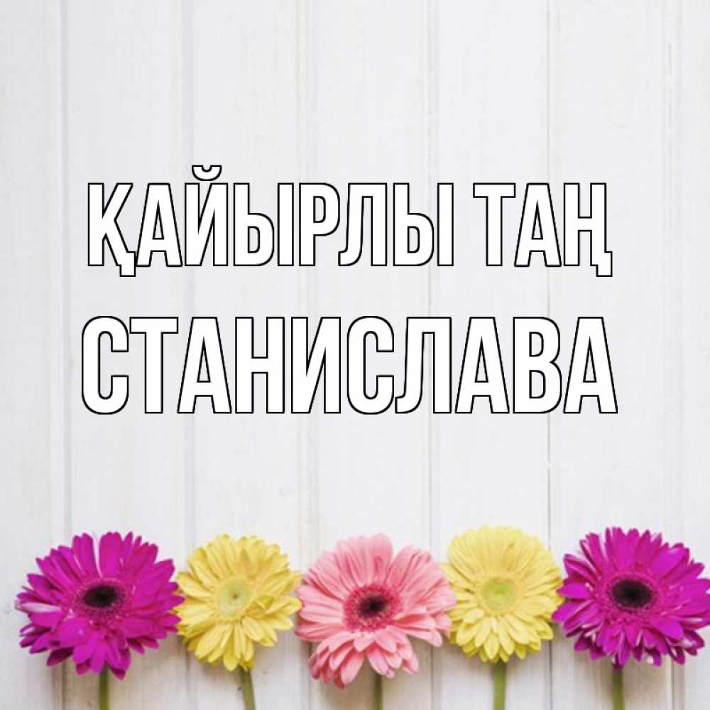 Күн сайын ашық хат с именем, Станислава Қайырлы таң красный желтый и розовый цветок Онлайн тегін жүктеп алу тілектері бар керемет карта 