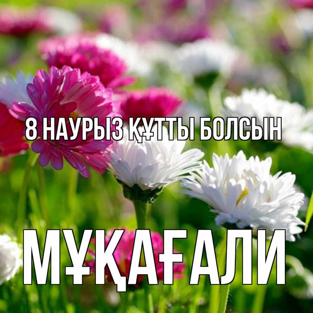 Күн сайын ашық хат с именем, МҰҚАҒАЛИ 8 наурыз құтты болсын международный женский день 1 Онлайн тегін жүктеп алу тілектері бар керемет карта 