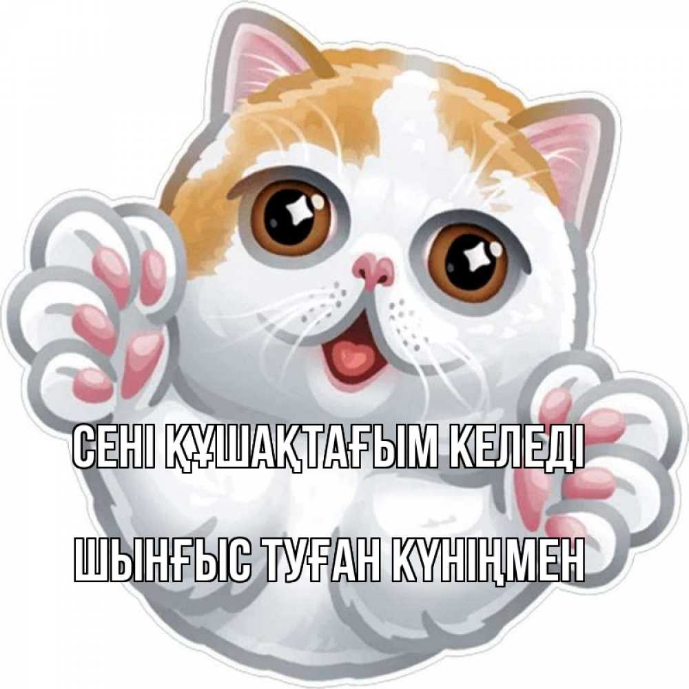 Картинка сені құшақтағым келеді, ШЫНҒЫС! ТУҒАН КҮНІҢМЕН!