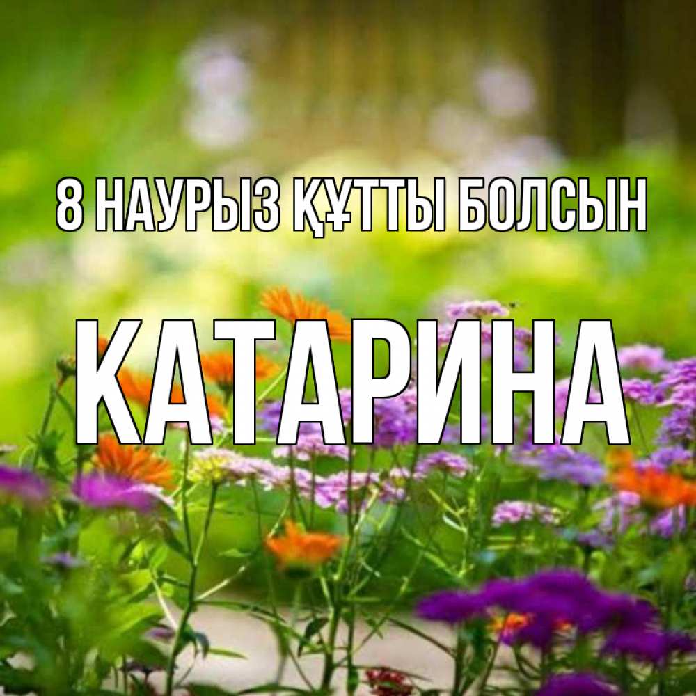 Күн сайын ашық хат с именем, Катарина 8 наурыз құтты болсын цветы Онлайн тегін жүктеп алу тілектері бар керемет карта 