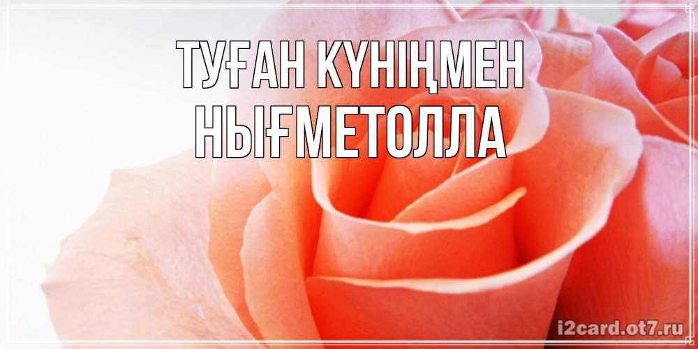 Күн сайын ашық хат с именем, НЫҒМЕТОЛЛА Туған күніңмен розы для поздравления с днем рождения Онлайн тегін жүктеп алу тілектері бар керемет карта 