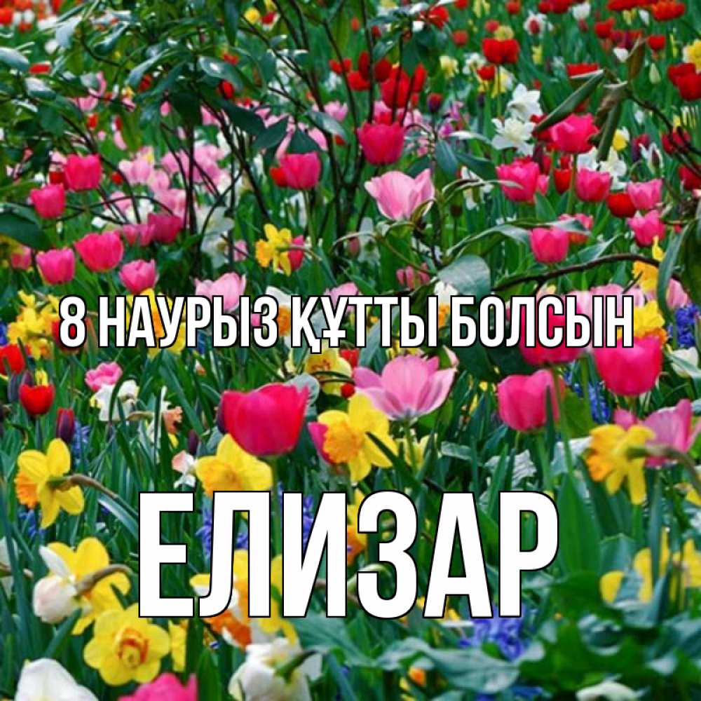 Күн сайын ашық хат с именем, Елизар 8 наурыз құтты болсын с международным женским днем поздравления для женщины Онлайн тегін жүктеп алу тілектері бар керемет карта 