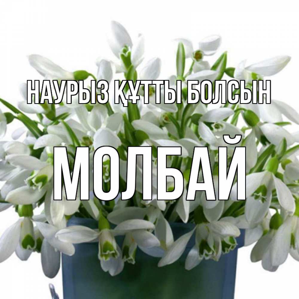 Күн сайын ашық хат с именем, МОЛБАЙ Наурыз құтты болсын цветы к наурызу Онлайн тегін жүктеп алу тілектері бар керемет карта 