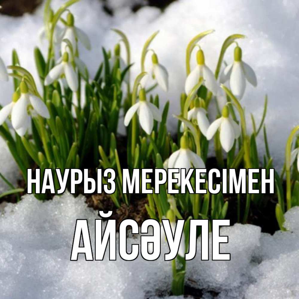 Күн сайын ашық хат с именем, АЙСӘУЛЕ Наурыз мерекесімен цветы весенние Онлайн тегін жүктеп алу тілектері бар керемет карта 