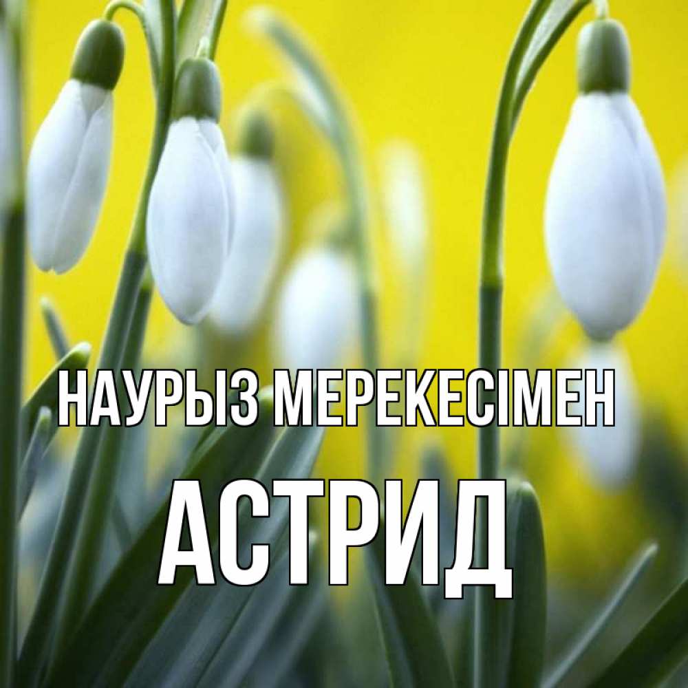 Күн сайын ашық хат с именем, Астрид Наурыз мерекесімен весенние цветы Онлайн тегін жүктеп алу тілектері бар керемет карта 