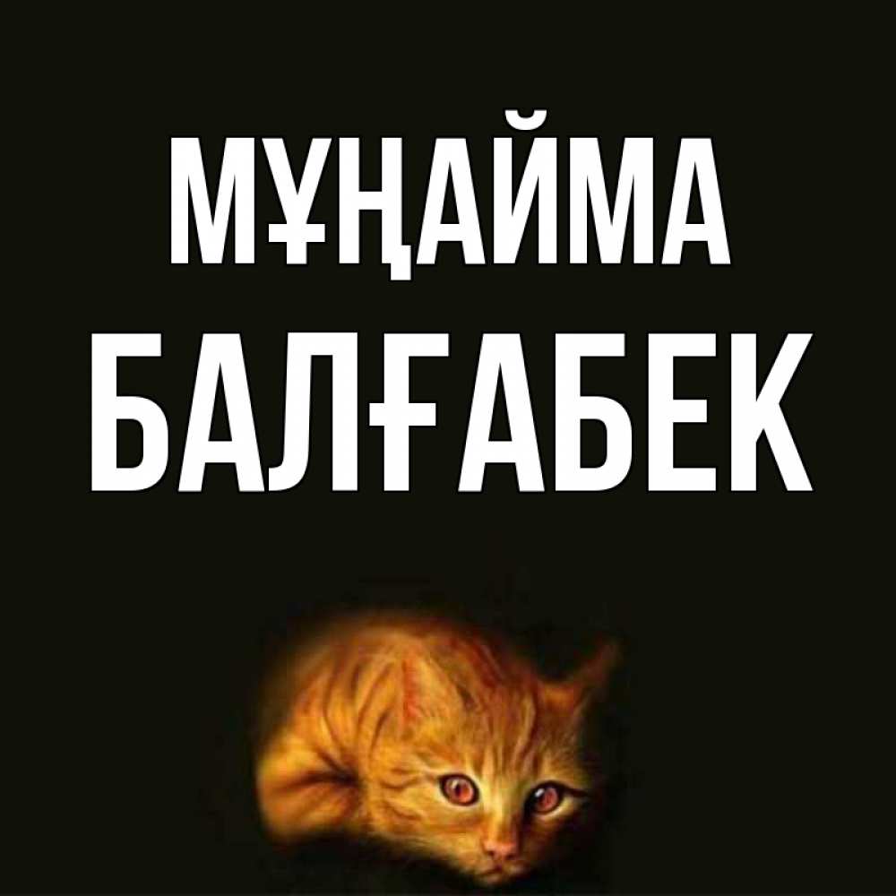 Күн сайын ашық хат с именем, Балғабек Мұңайма лежащий кот в темноте Онлайн тегін жүктеп алу тілектері бар керемет карта 