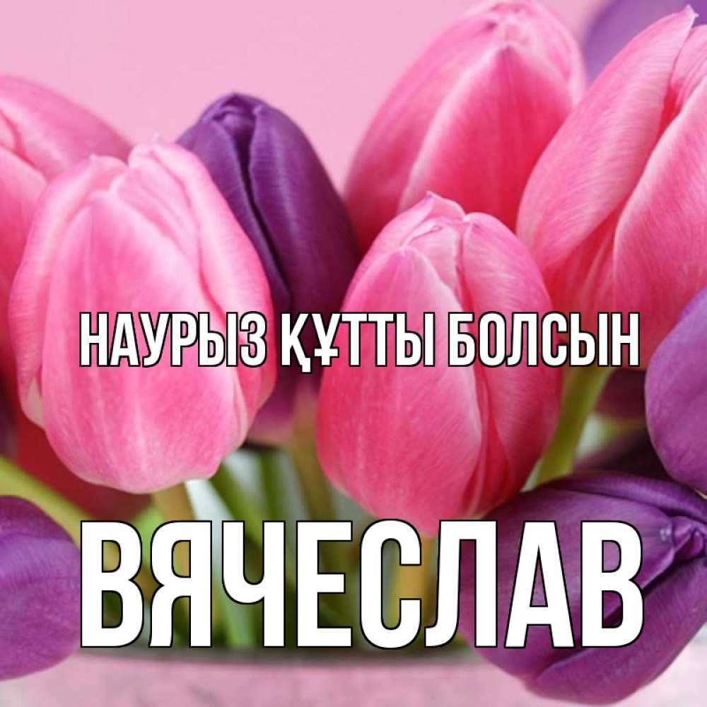 Күн сайын ашық хат с именем, Вячеслав Наурыз құтты болсын маме 1 Онлайн тегін жүктеп алу тілектері бар керемет карта 