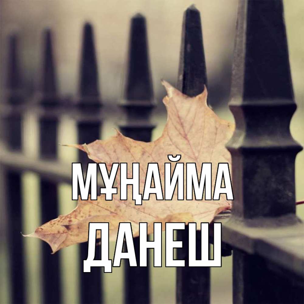 Күн сайын ашық хат с именем, ДАНЕШ Мұңайма лист клена Онлайн тегін жүктеп алу тілектері бар керемет карта 