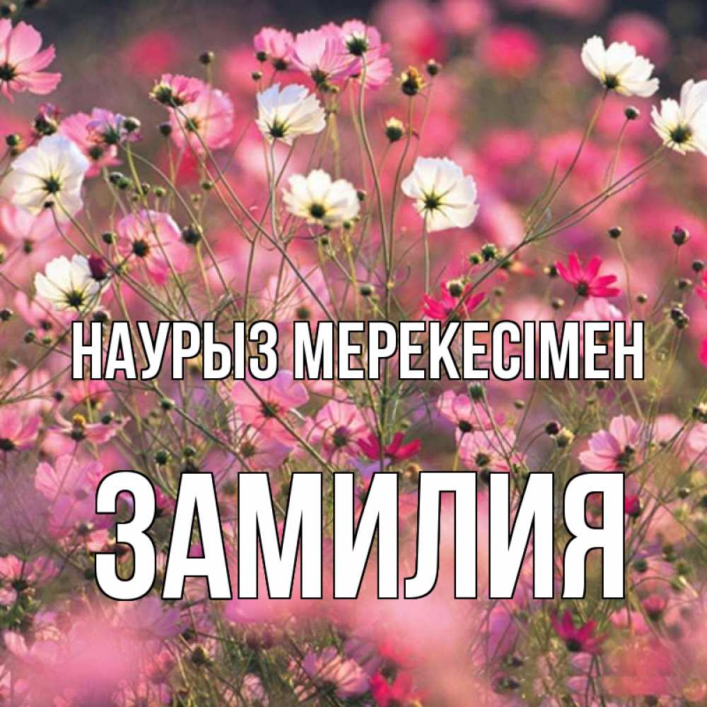 Күн сайын ашық хат с именем, ЗАМИЛИЯ Наурыз мерекесімен красиво 1 Онлайн тегін жүктеп алу тілектері бар керемет карта 