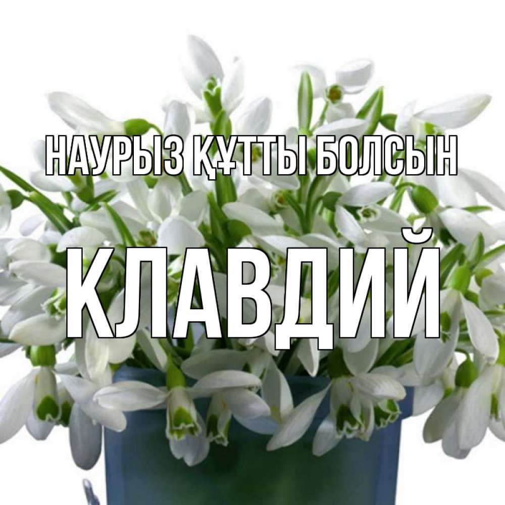 Күн сайын ашық хат с именем, Клавдий Наурыз құтты болсын цветы к наурызу Онлайн тегін жүктеп алу тілектері бар керемет карта 