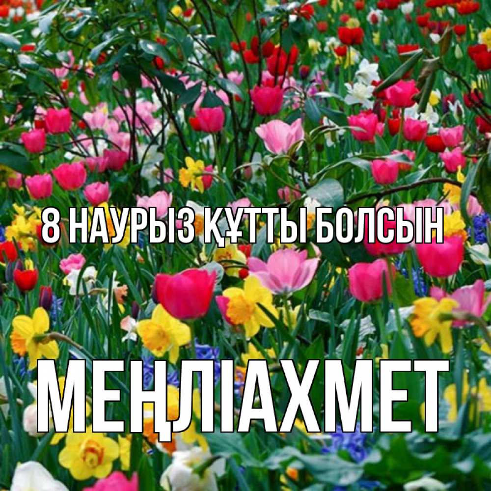 Күн сайын ашық хат с именем, МЕҢЛІАХМЕТ 8 наурыз құтты болсын с международным женским днем поздравления для женщины Онлайн тегін жүктеп алу тілектері бар керемет карта 