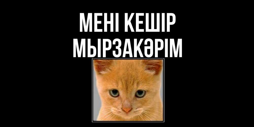 Күн сайын ашық хат с именем, Мырзакәрім Мені кешір рыжий грустный кот просит прощения Онлайн тегін жүктеп алу тілектері бар керемет карта 
