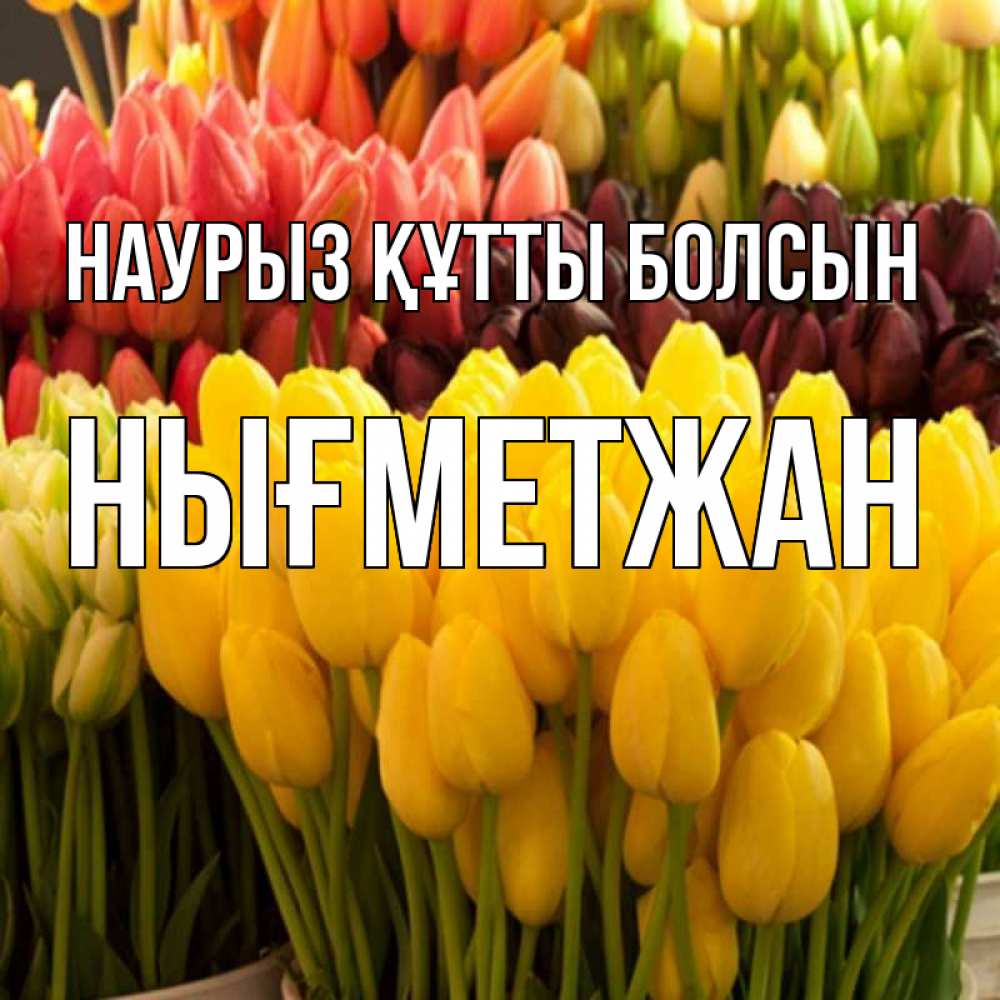 Күн сайын ашық хат с именем, НЫҒМЕТЖАН Наурыз құтты болсын цветы Онлайн тегін жүктеп алу тілектері бар керемет карта 