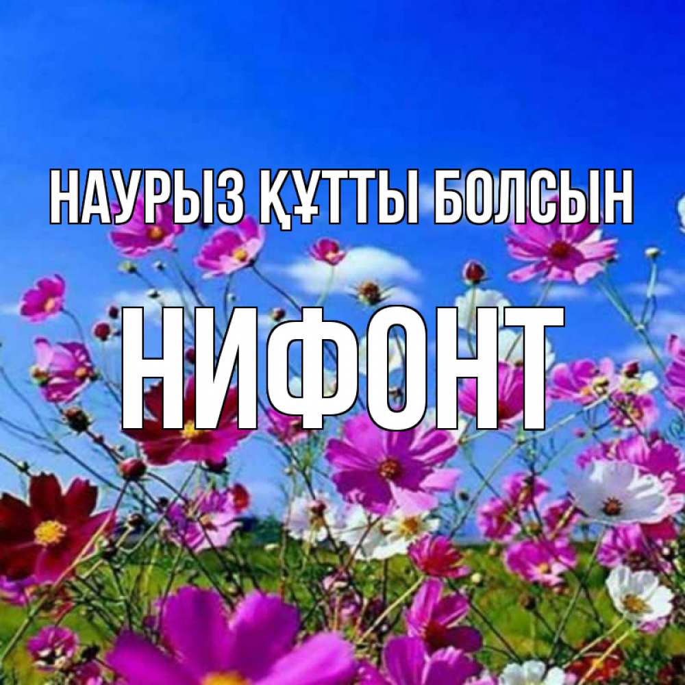 Күн сайын ашық хат с именем, Нифонт Наурыз құтты болсын цветы Онлайн тегін жүктеп алу тілектері бар керемет карта 