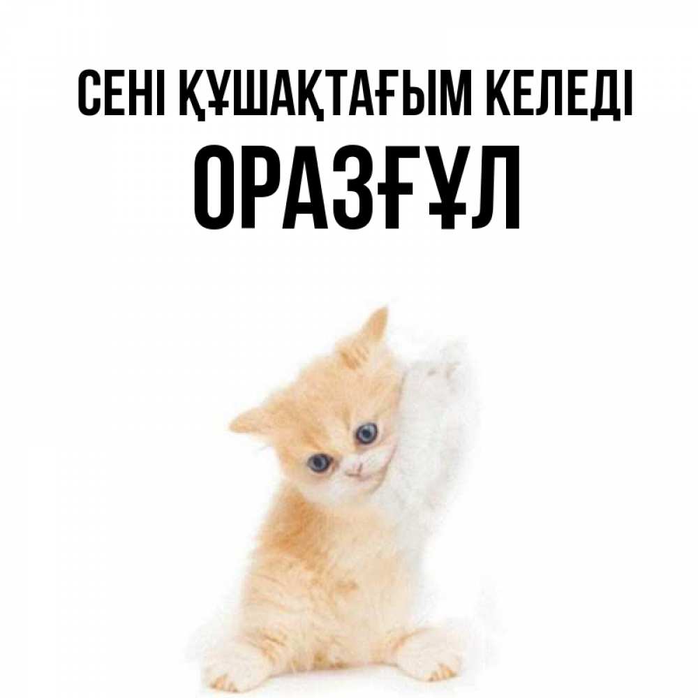 Күн сайын ашық хат с именем, ОРАЗҒҰЛ сені құшақтағым келеді я хочу очень скорее обнимаешек Онлайн тегін жүктеп алу тілектері бар керемет карта 