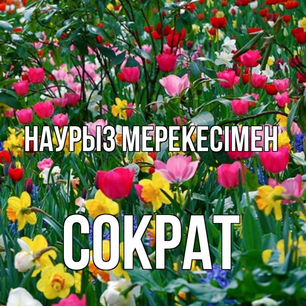 Күн сайын ашық хат с именем, Сократ Наурыз мерекесімен с наурызом праздником весны поздравления для женщины Онлайн тегін жүктеп алу тілектері бар керемет карта 