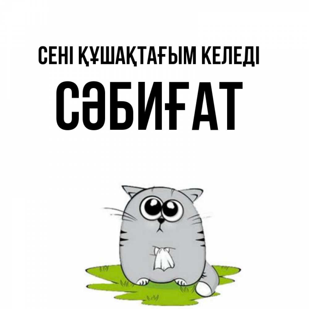 Күн сайын ашық хат с именем, СӘБИҒАТ сені құшақтағым келеді котик теребит платочек сидя на травке Онлайн тегін жүктеп алу тілектері бар керемет карта 