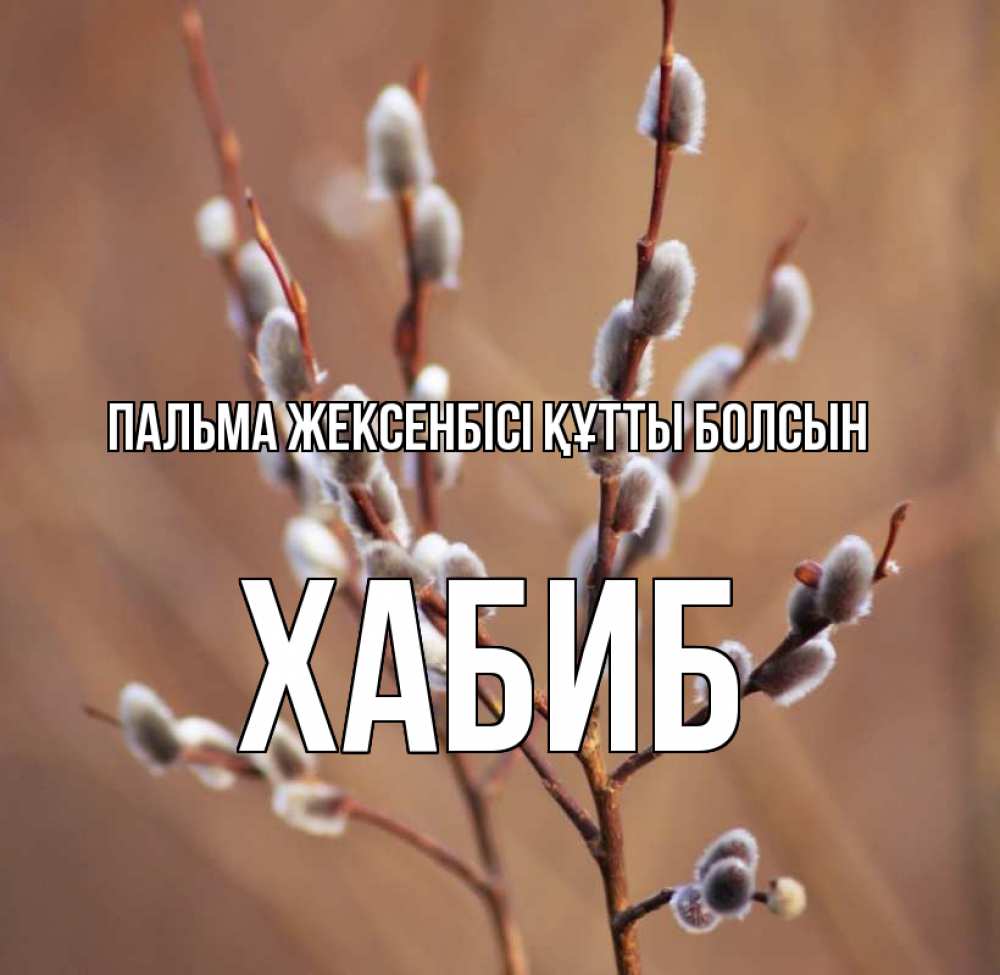 Күн сайын ашық хат с именем, ХАБИБ Пальма жексенбісі құтты болсын верба Онлайн тегін жүктеп алу тілектері бар керемет карта 