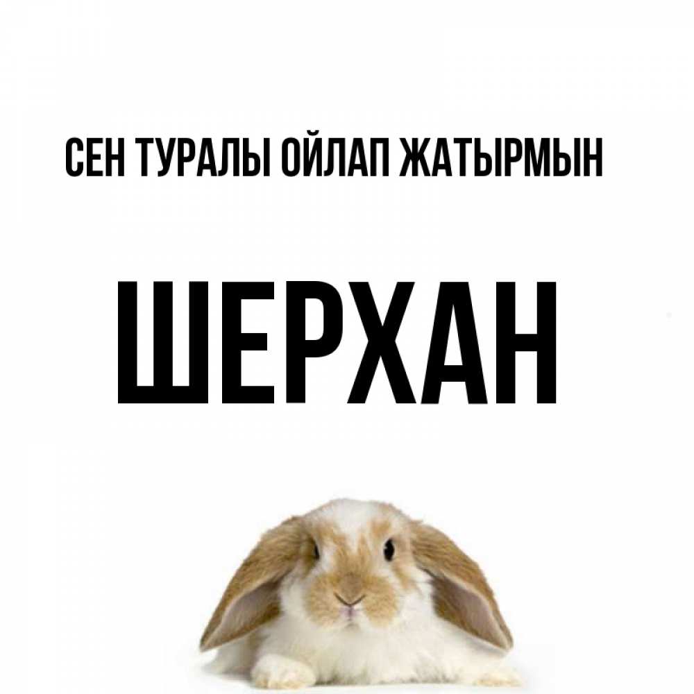 Күн сайын ашық хат с именем, ШЕРХАН Сен туралы ойлап жатырмын подписать своими руками онлайн Онлайн тегін жүктеп алу тілектері бар керемет карта 