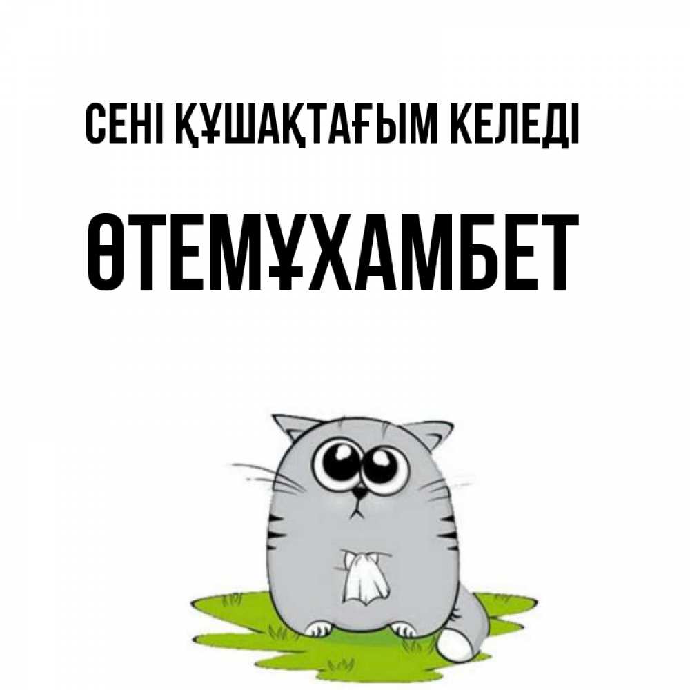 Күн сайын ашық хат с именем, ӨТЕМҰХАМБЕТ сені құшақтағым келеді котик теребит платочек сидя на травке Онлайн тегін жүктеп алу тілектері бар керемет карта 