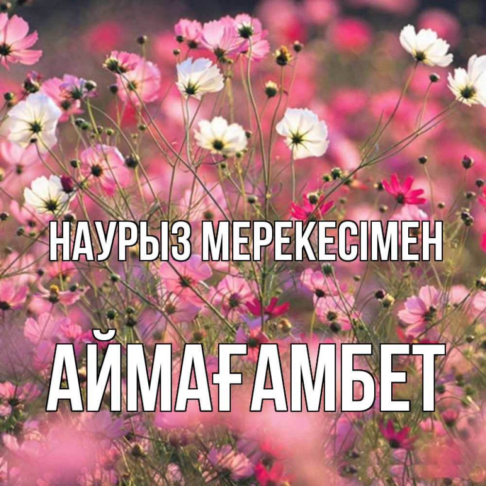 Күн сайын ашық хат с именем, Аймағамбет Наурыз мерекесімен красиво 1 Онлайн тегін жүктеп алу тілектері бар керемет карта 