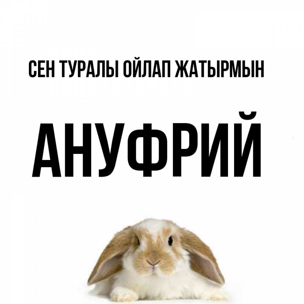 Күн сайын ашық хат с именем, Ануфрий Сен туралы ойлап жатырмын подписать своими руками онлайн Онлайн тегін жүктеп алу тілектері бар керемет карта 