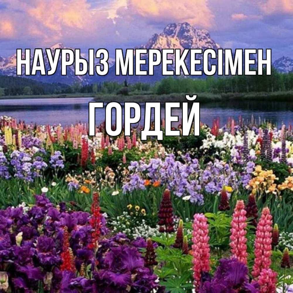 Күн сайын ашық хат с именем, Гордей Наурыз мерекесімен праздник весны наурыз Онлайн тегін жүктеп алу тілектері бар керемет карта 