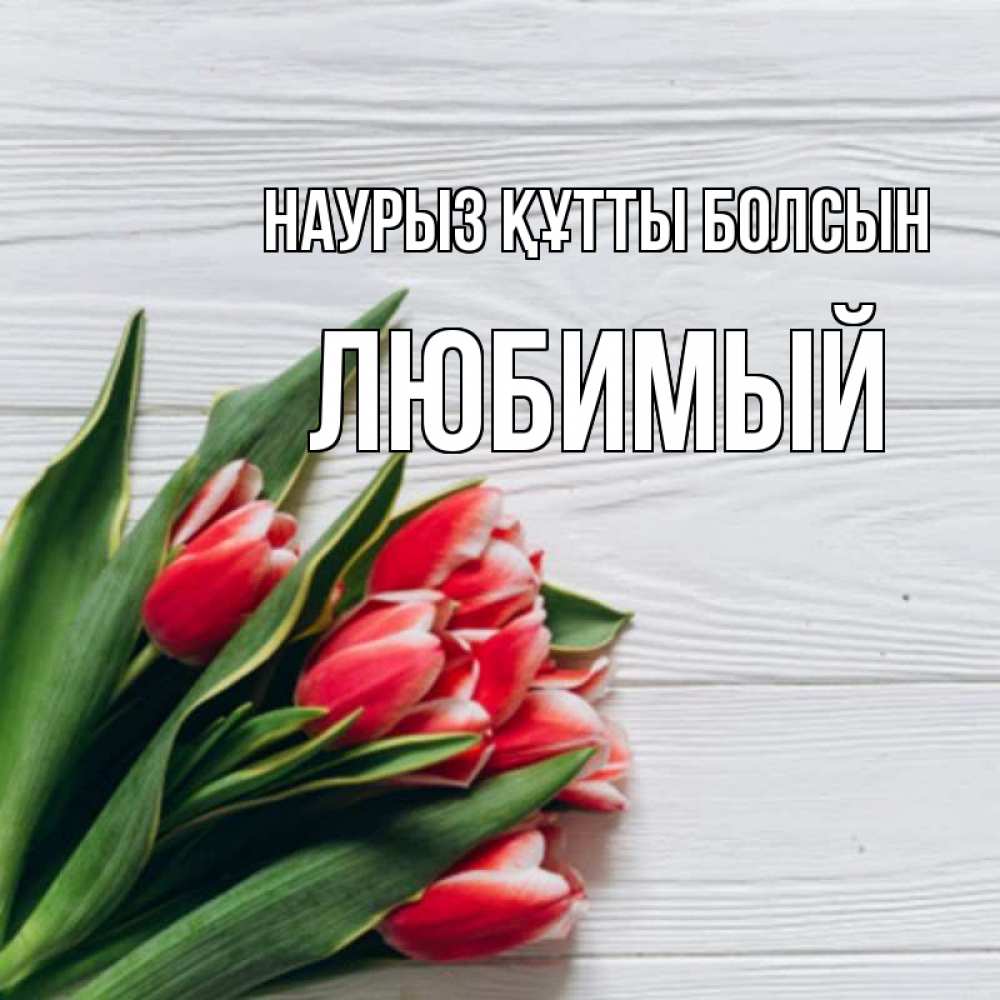 Күн сайын ашық хат с именем, Любимый Наурыз құтты болсын весна 2 Онлайн тегін жүктеп алу тілектері бар керемет карта 