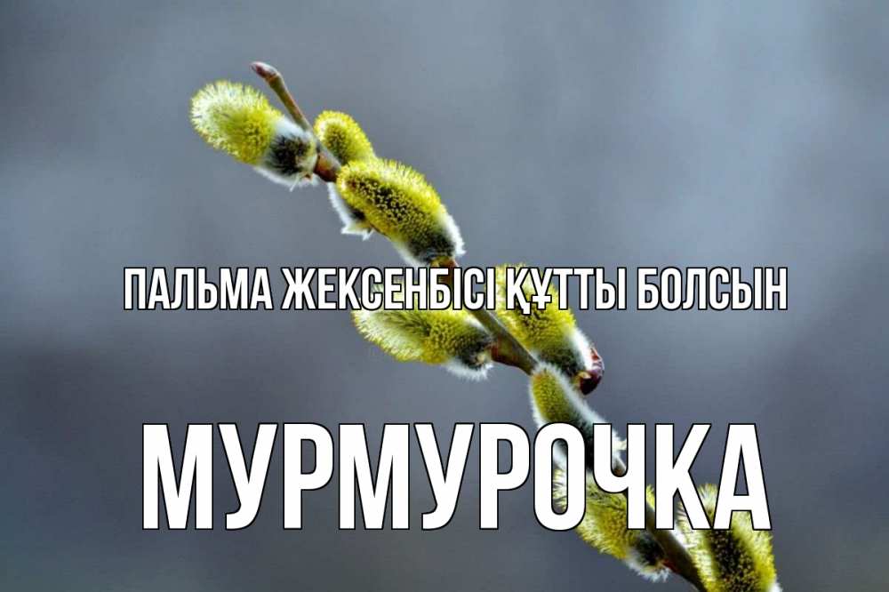 Күн сайын ашық хат с именем, Мурмурочка Пальма жексенбісі құтты болсын верба Онлайн тегін жүктеп алу тілектері бар керемет карта 