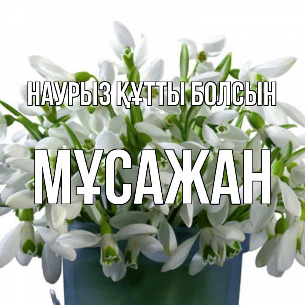Күн сайын ашық хат с именем, Мұсажан Наурыз құтты болсын цветы к наурызу Онлайн тегін жүктеп алу тілектері бар керемет карта 