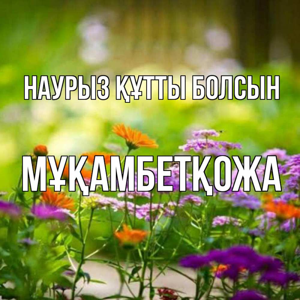 Күн сайын ашық хат с именем, Мұқамбетқожа Наурыз құтты болсын цветы Онлайн тегін жүктеп алу тілектері бар керемет карта 