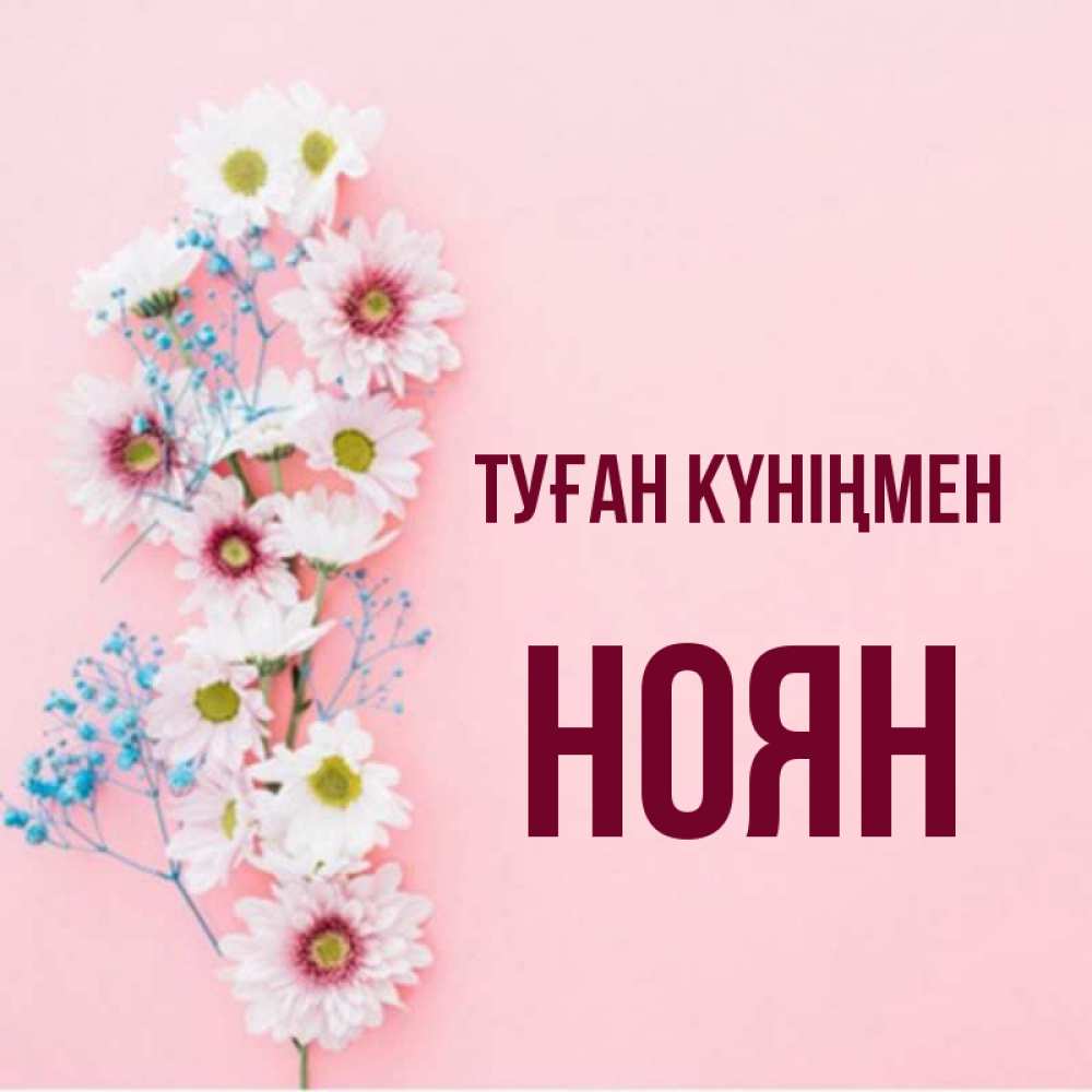 Күн сайын ашық хат с именем, НОЯН Туған күніңмен Родная моя с днем рождения тебя картинка с цветами белыми и голубыми Онлайн тегін жүктеп алу тілектері бар керемет карта 