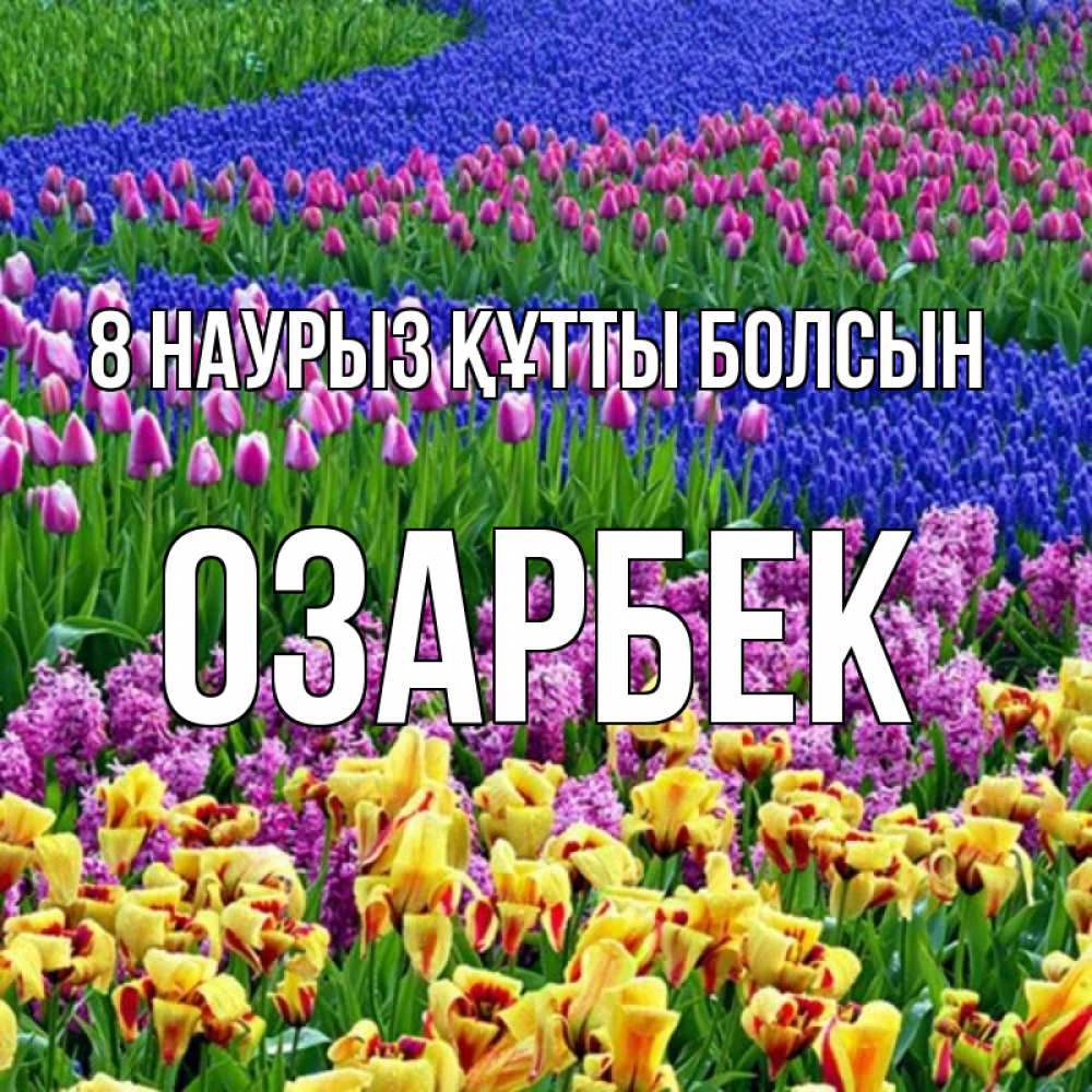 Күн сайын ашық хат с именем, ОЗАРБЕК 8 наурыз құтты болсын цветы Онлайн тегін жүктеп алу тілектері бар керемет карта 