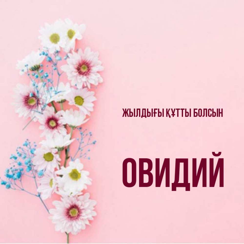 Күн сайын ашық хат с именем, Овидий Жылдығы құтты болсын Родная моя с днем рождения тебя картинка с цветами белыми и голубыми Онлайн тегін жүктеп алу тілектері бар керемет карта 