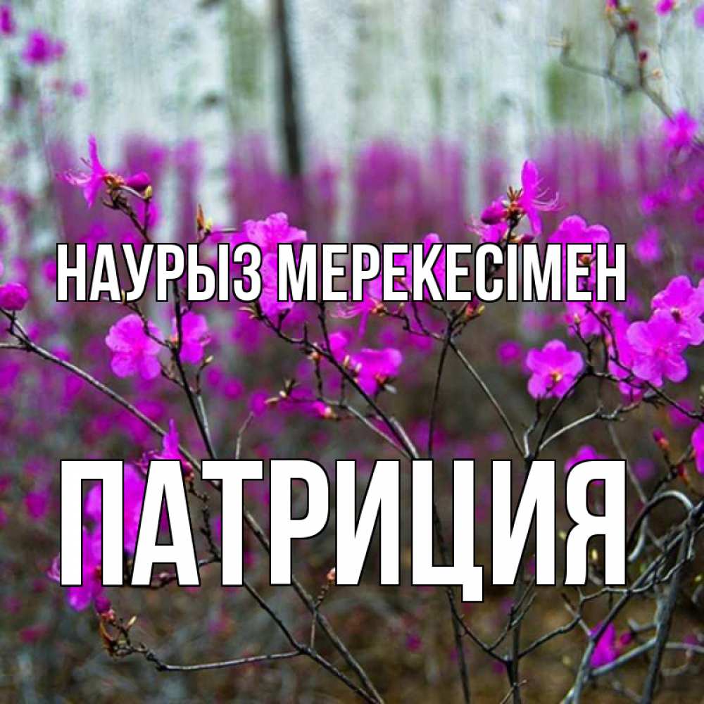 Күн сайын ашық хат с именем, Патриция Наурыз мерекесімен дикие цветы Онлайн тегін жүктеп алу тілектері бар керемет карта 