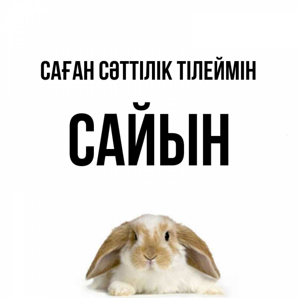 Күн сайын ашық хат с именем, САЙЫН Саған сәттілік тілеймін открытки с произвольным текстом который можно вставить в открытку и создать ее самостоятельно бесплатно онлайн Онлайн тегін жүктеп алу тілектері бар керемет карта 