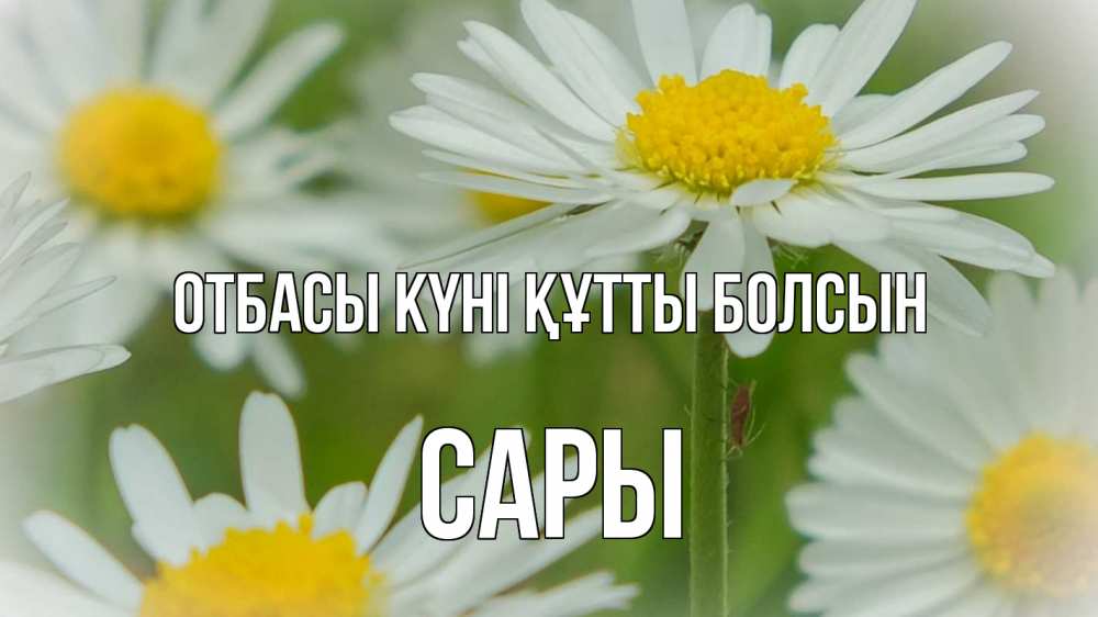 Күн сайын ашық хат с именем, САРЫ отбасы күні құтты болсын с днем семьи  1 Онлайн тегін жүктеп алу тілектері бар керемет карта 