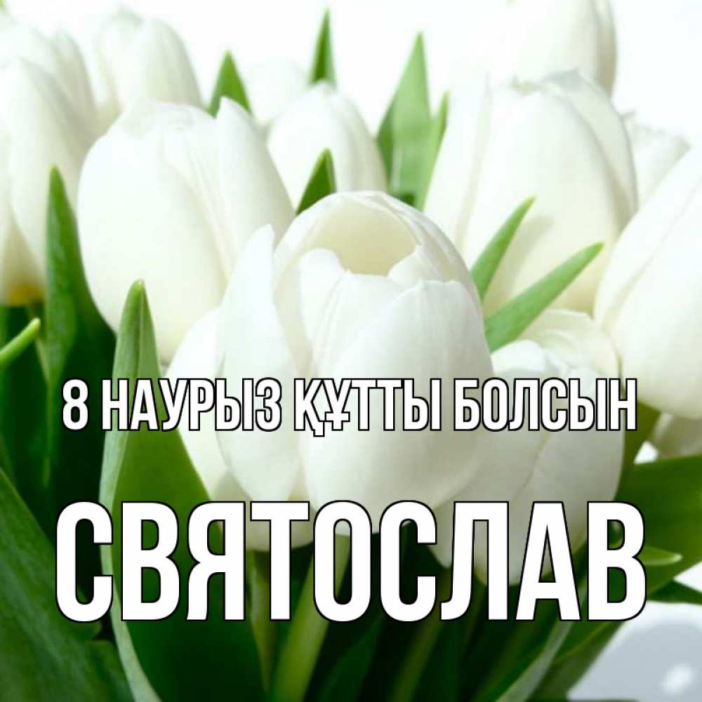 Күн сайын ашық хат с именем, Святослав 8 наурыз құтты болсын цветы Онлайн тегін жүктеп алу тілектері бар керемет карта 