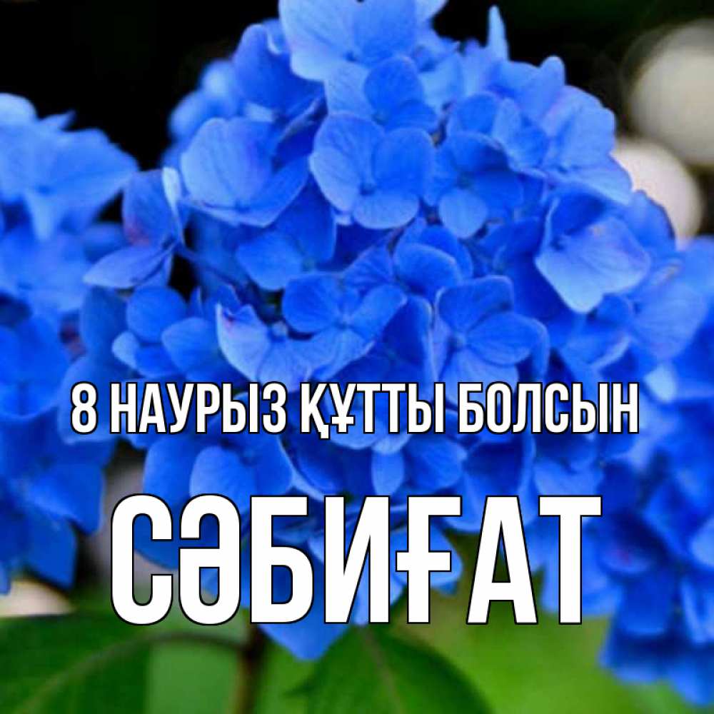 Күн сайын ашық хат с именем, СӘБИҒАТ 8 наурыз құтты болсын синие цветы Онлайн тегін жүктеп алу тілектері бар керемет карта 