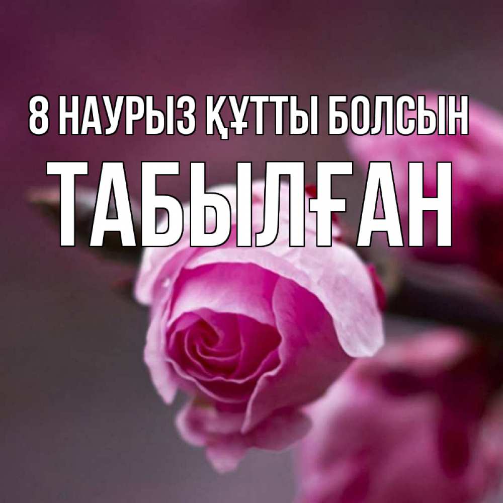 Күн сайын ашық хат с именем, ТАБЫЛҒАН 8 наурыз құтты болсын весна Онлайн тегін жүктеп алу тілектері бар керемет карта 