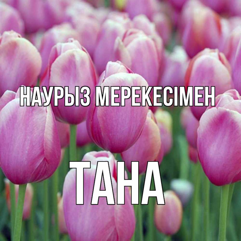 Күн сайын ашық хат с именем, ТАНА Наурыз мерекесімен праздник весны наурыз 69 Онлайн тегін жүктеп алу тілектері бар керемет карта 
