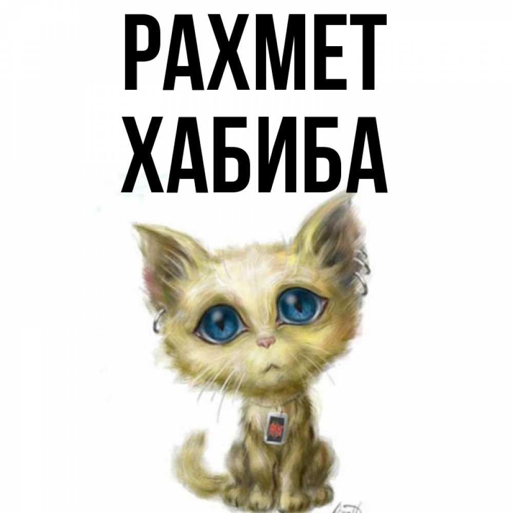 Күн сайын ашық хат с именем, ХАБИБА рахмет рисованный кот благодарит вас Онлайн тегін жүктеп алу тілектері бар керемет карта 