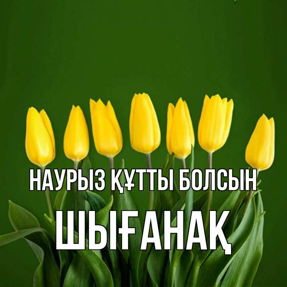 Күн сайын ашық хат с именем, ШЫҒАНАҚ Наурыз құтты болсын желтого цвета 3 Онлайн тегін жүктеп алу тілектері бар керемет карта 