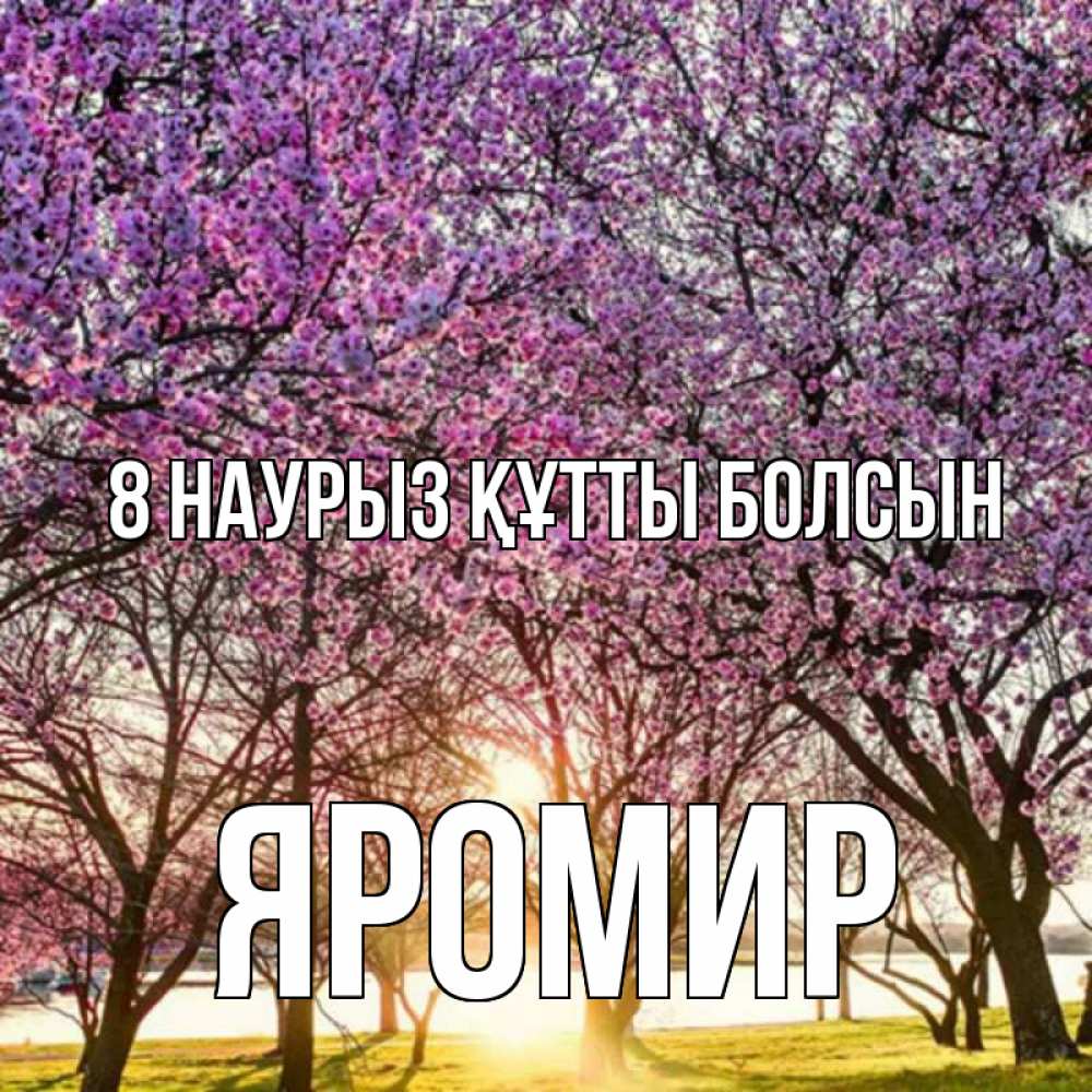 Күн сайын ашық хат с именем, Яромир 8 наурыз құтты болсын международный женский день Онлайн тегін жүктеп алу тілектері бар керемет карта 