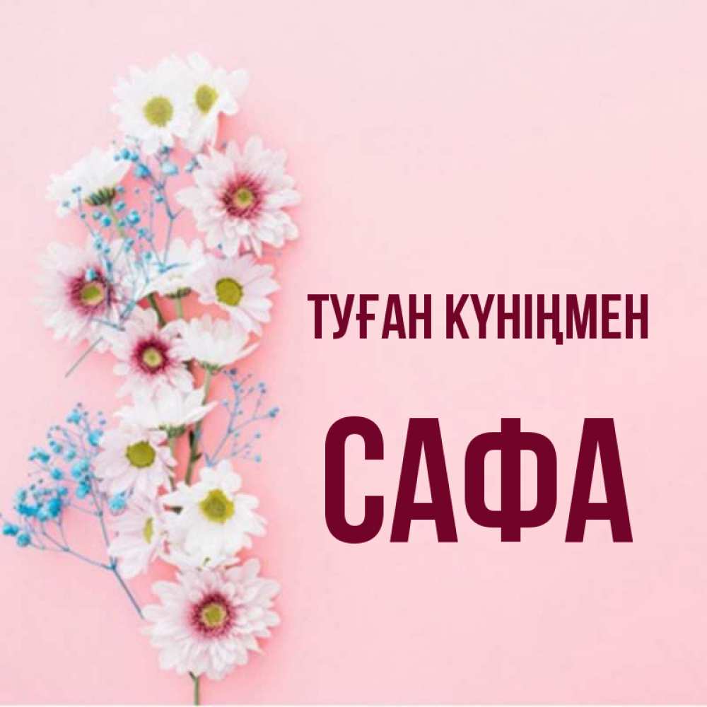 Күн сайын ашық хат с именем, САФА Туған күніңмен Родная моя с днем рождения тебя картинка с цветами белыми и голубыми Онлайн тегін жүктеп алу тілектері бар керемет карта 