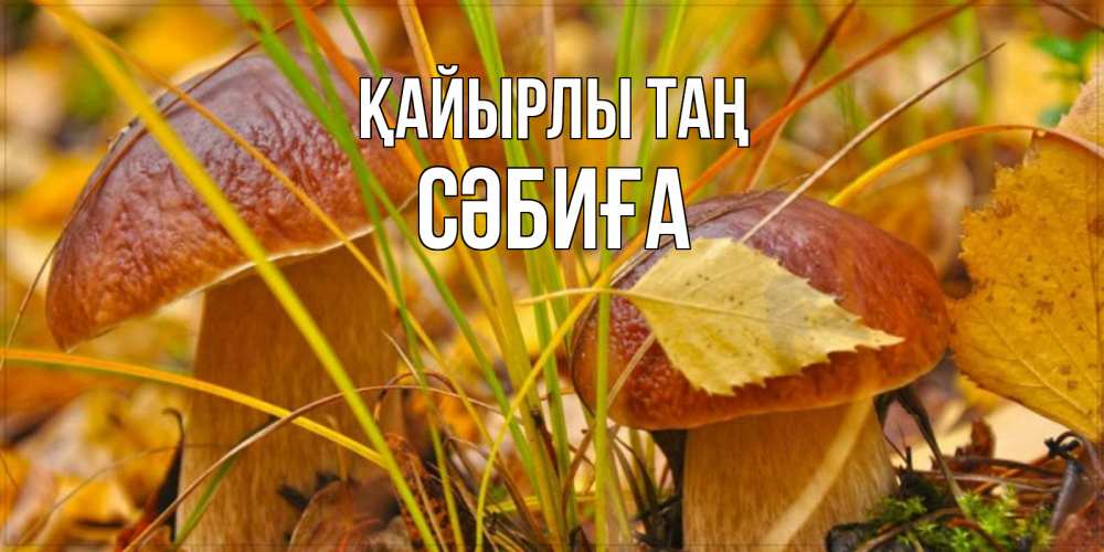 Күн сайын ашық хат с именем, СӘБИҒА Қайырлы таң осенние грибы Онлайн тегін жүктеп алу тілектері бар керемет карта 