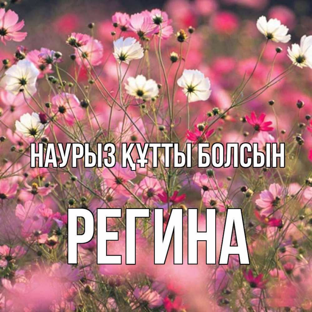Күн сайын ашық хат с именем, Регина Наурыз құтты болсын красиво 1 Онлайн тегін жүктеп алу тілектері бар керемет карта 