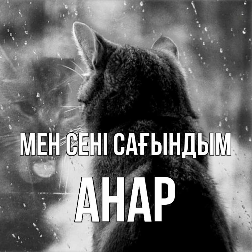 Күн сайын ашық хат с именем, АНАР Мен сені сағындым скорее ко мне приходи 1 Онлайн тегін жүктеп алу тілектері бар керемет карта 