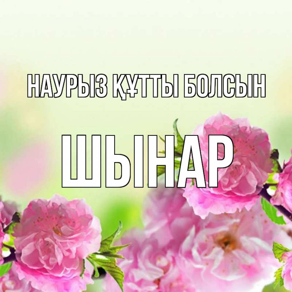 Күн сайын ашық хат с именем, ШЫНАР Наурыз құтты болсын цветы Онлайн тегін жүктеп алу тілектері бар керемет карта 
